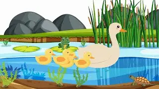 Eendjies eendjies stap in 'n ry | Afrikaans Traditional Song | Afrikaanse Kinderliedjies | FAK