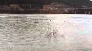 Branson Missouri Landing flooding December 27, 2015