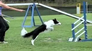 SLOW MOTION AGILITY - SCFD  Agility Competition