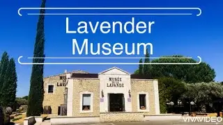 France/Provence - Lavender Museum/ Франция/Прованс - Музей лаванды/ 法国/普罗旺斯 - 薰衣草博物馆