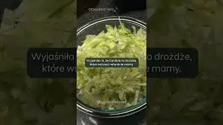 Żyła z grzybem, nieświadomie