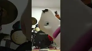Minha cole&ccedil;&atilde;o de fantoches