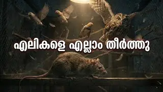 ഒരു ലക്ഷം രൂപ നഷ്ട്ടം ആയി guys 🥲#youtubevideos #trending #reelsinstagram