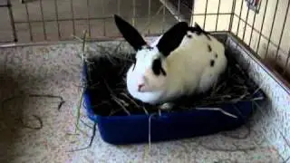 MOV04356.MPGTango