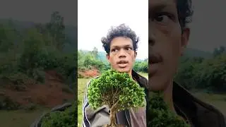 ప్రకృతిని కాపాడుదాం plasticfreezone #ytshorts #youtubeshorts #nature #farming #pollution #viral