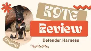 Обзор шлейки для собак K9 Tactical Gear Traditional Defender