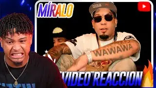 ROCHY RD -🙆&zwj;♂️ M&Iacute;RALO🤯 ( Video Oficial )( #REACION RD CLEBER )