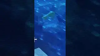 My sister was playing Minecraft￼