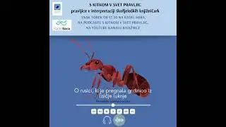 S KITKOM V SVET PRAVLJIC (122): O rusici, ki je pregnala grdinico iz lisičje luknje