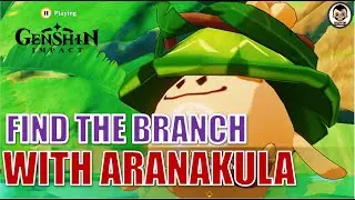 Find the branch together with Aranakula | Genshin Impact