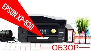 Обзор МФУ Epson Expression Premium XP-830 с СНПЧ
