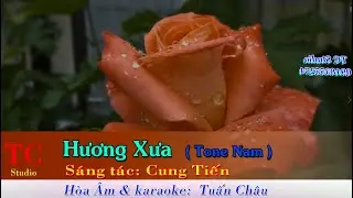 Hương Xưa ( Karaoke Tone Nam ) Eb