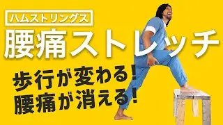【腰痛ストレッチ】１日２分、股関節と膝のストレッチで歩行がダイナミックに。腰が痛い原因を根本的に解消する神セルフストレッチ。