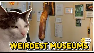 7 Real Museums That Are Too Weird To Be True
