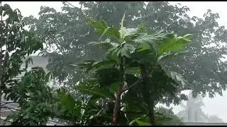 Rain 😥 #rain #day #rainyday