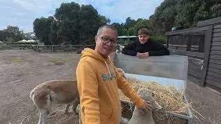 Hobby farm seven miles beach Tasmania 