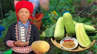 Harvesting Wild Cucumbers with Mountain Tribes &ndash; A Vlog Deep in Nature