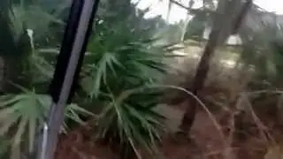 Golf Cart Safari Adventure!