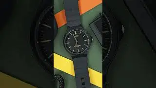 Casio Youth MW-240-1E2V: Showcase Series by YWC