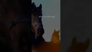 KAHA HAl ISLAM KAHA HAI || Dr Israr Ahmed