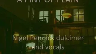 A Pint of Plain - Nigel Pennick