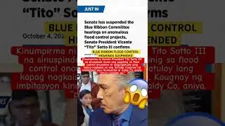 BLUE RIBBON FLOOD CONTROL HEARINGS SUSPENDED #ctto #shortsviral
