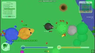 Challenge of not being able to eat watermelon|Mope.io 🐭 (Special 70 subscribers)