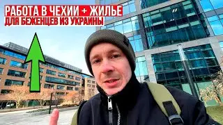 Работа в Чехии для украинских беженцев с жильём / Без знания языка, напрямую