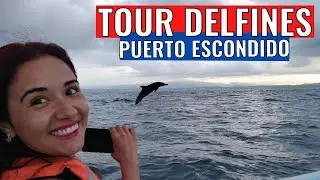 Avistamiento de Delfines 🐬 en Puerto Escondido, Oaxaca [4K] &bull; Alhel&iacute;