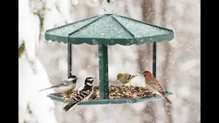 3400 Fly Thru Metal Gazebo Feeder