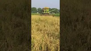 Dhan  SMS  Cater  Combine  Work #Good Work