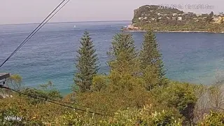 Matt Whaley Live Stream