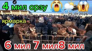 4 мил Таначалар орзу 25 01,2026 Карши карвон мол бозори qarshi karvon mol bozori tanachalar buzuq