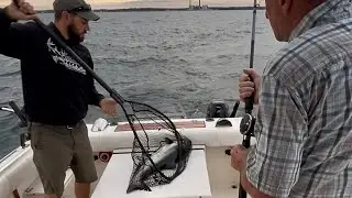SUMMER KING SALMON CHARTER- August 2025 (Oswego, NY)