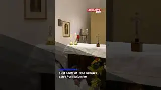 Pope Francis Celebrates Mass in Hospital: First Photo Since Illness Released
