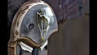 How to Clean Wild Turkey Skulls | Easy Whitening