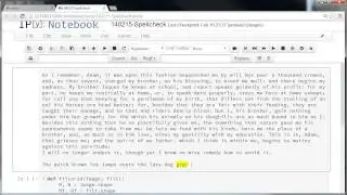IPython notebook spellchecker