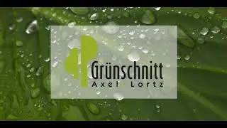 Baumf&auml;llprojekt in Modautal Brandau