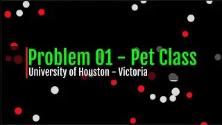 Problem 01   Chapter 10   Pet Class