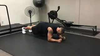 Lo Plank Alt Hip Drops