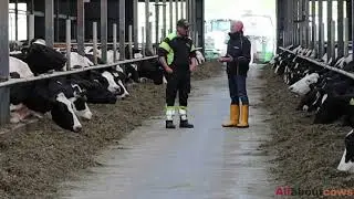 Torsjö Säteri