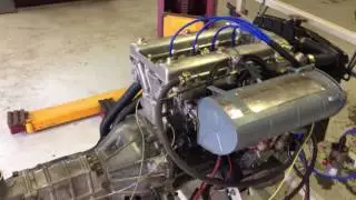 Alfa 2 liter SPICA with Colombo and Borani