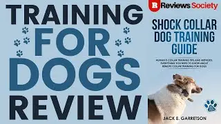 How do you Brain Training For Dog Review | Unique Dog | Watch Video For Easy Selection To Buy or Not