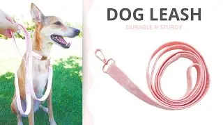 DIY Durable Dog Leash for Beginners 🧵Easy Sewing Tutorial for Dog Owners 🐕 DIY Pet Projects