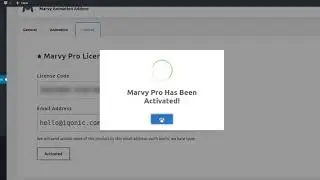 Marvy - Activate Plugin Using License Code