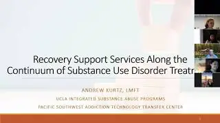 Webinar: Recovery Support Services Along the Continuum of Substance Use Disorder Treatment