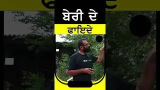 #shorts Ber Information | Ber Farming in Punjab | Indian jujube SIRLEKH