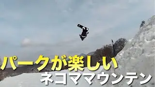 お笑い芸人と滑るパークが楽しいネコママウンテン