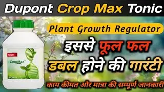 Dupont Crop Max Tonic Use | Crop Max Tonic | It doubles the fruits and flowers