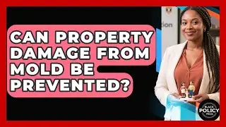Can Property Damage From Mold Be Prevented? - Black Policy Pros